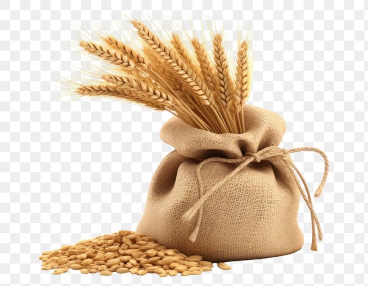 Grains, Flour & Flour Mixes